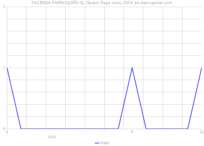 FACENDA FARRUQUIÑO SL (Spain) Page visits 2024 