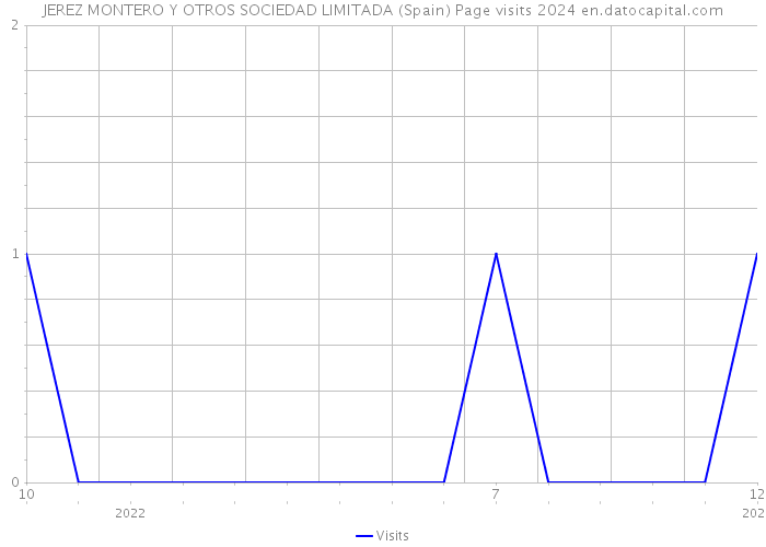 JEREZ MONTERO Y OTROS SOCIEDAD LIMITADA (Spain) Page visits 2024 