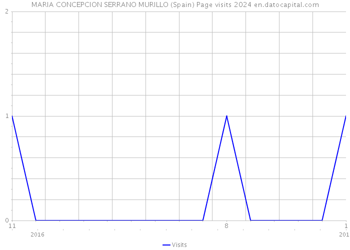 MARIA CONCEPCION SERRANO MURILLO (Spain) Page visits 2024 