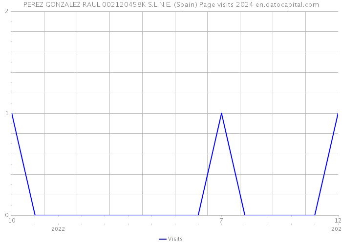 PEREZ GONZALEZ RAUL 002120458K S.L.N.E. (Spain) Page visits 2024 