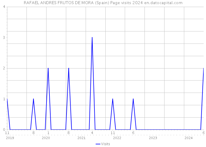 RAFAEL ANDRES FRUTOS DE MORA (Spain) Page visits 2024 