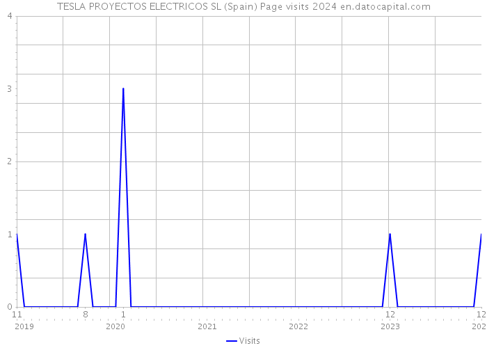 TESLA PROYECTOS ELECTRICOS SL (Spain) Page visits 2024 