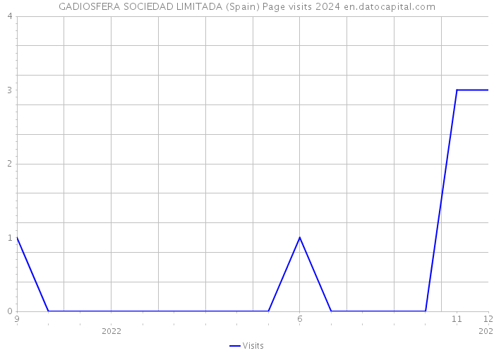 GADIOSFERA SOCIEDAD LIMITADA (Spain) Page visits 2024 