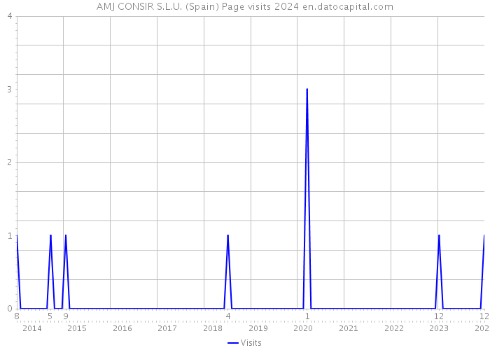 AMJ CONSIR S.L.U. (Spain) Page visits 2024 