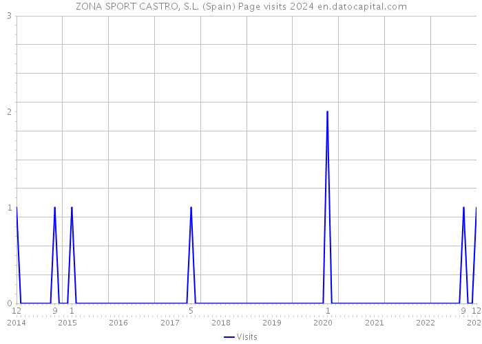 ZONA SPORT CASTRO, S.L. (Spain) Page visits 2024 