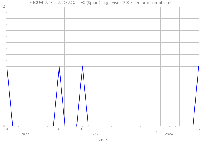 MIGUEL ALENTADO AGULLES (Spain) Page visits 2024 