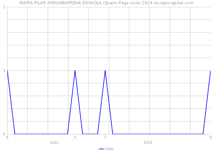 MARIA PILAR ARRUABARRENA ESNAOLA (Spain) Page visits 2024 