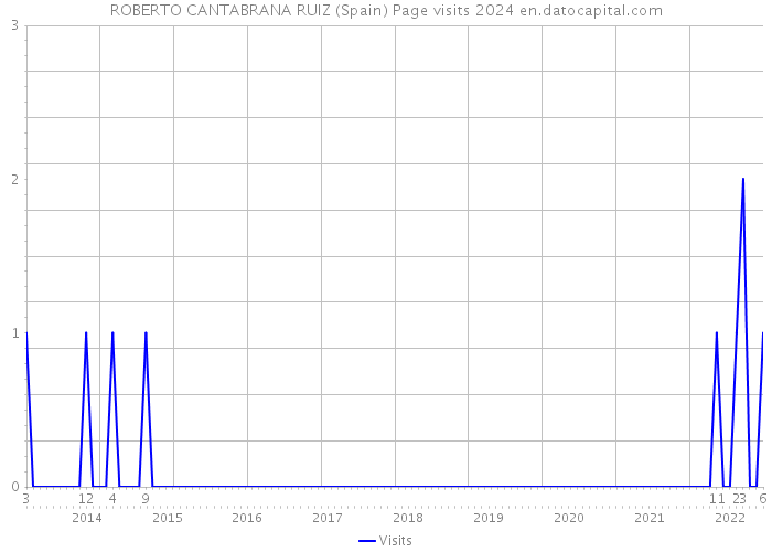 ROBERTO CANTABRANA RUIZ (Spain) Page visits 2024 