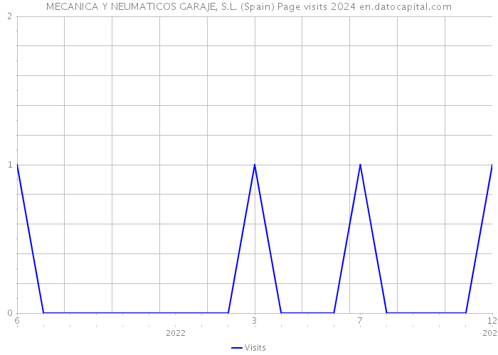 MECANICA Y NEUMATICOS GARAJE, S.L. (Spain) Page visits 2024 
