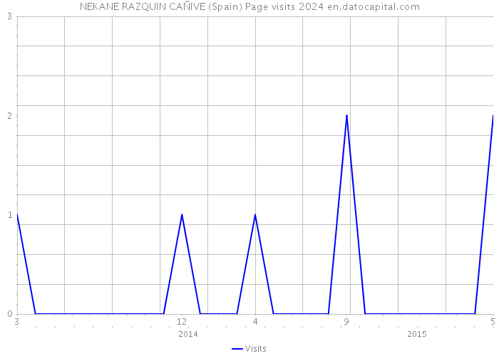 NEKANE RAZQUIN CAÑIVE (Spain) Page visits 2024 