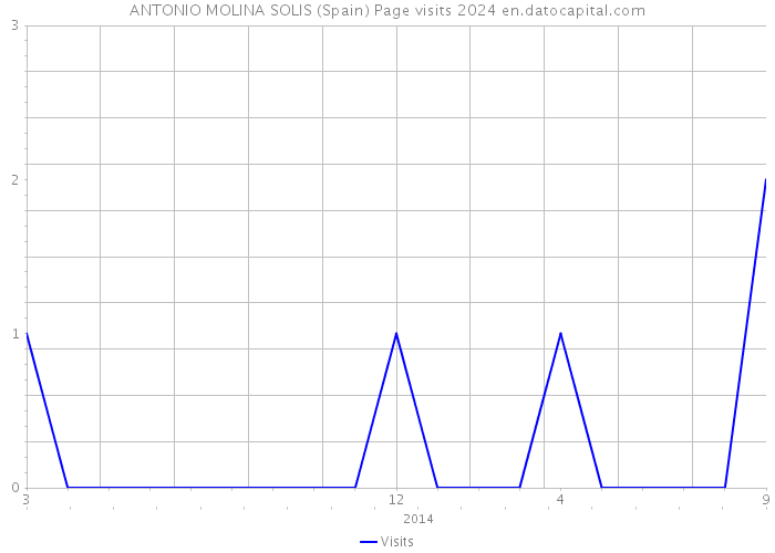ANTONIO MOLINA SOLIS (Spain) Page visits 2024 