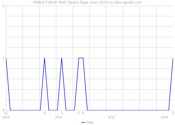 PABLO YARUR SAID (Spain) Page visits 2024 