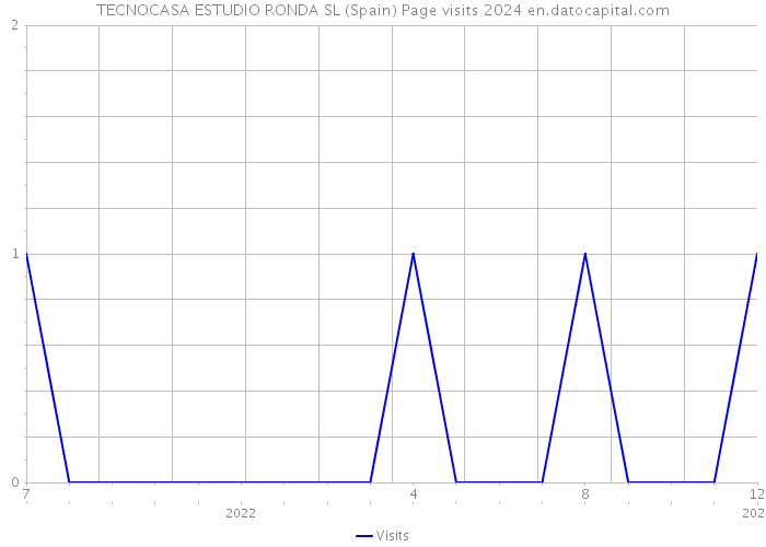 TECNOCASA ESTUDIO RONDA SL (Spain) Page visits 2024 