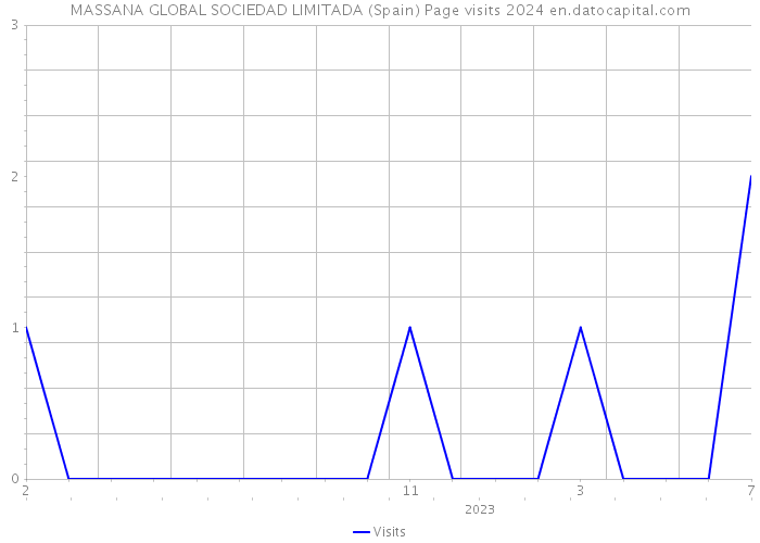 MASSANA GLOBAL SOCIEDAD LIMITADA (Spain) Page visits 2024 
