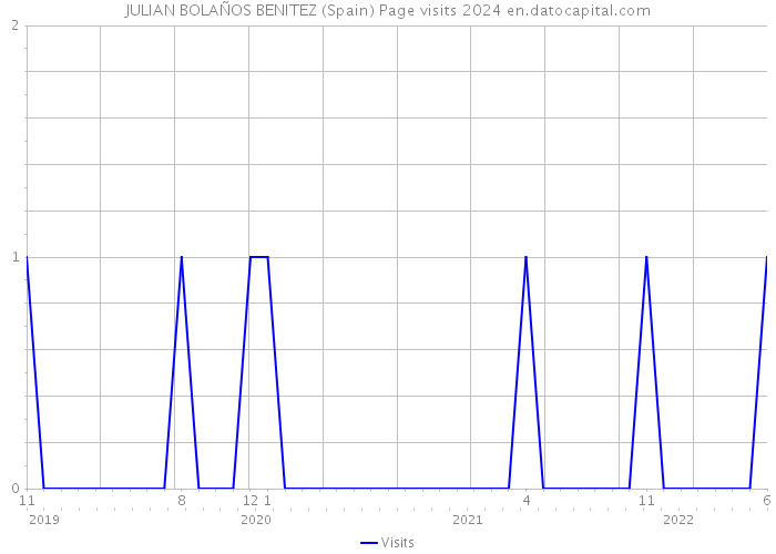 JULIAN BOLAÑOS BENITEZ (Spain) Page visits 2024 