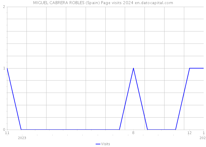 MIGUEL CABRERA ROBLES (Spain) Page visits 2024 
