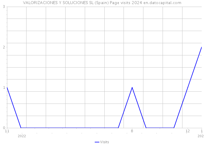 VALORIZACIONES Y SOLUCIONES SL (Spain) Page visits 2024 