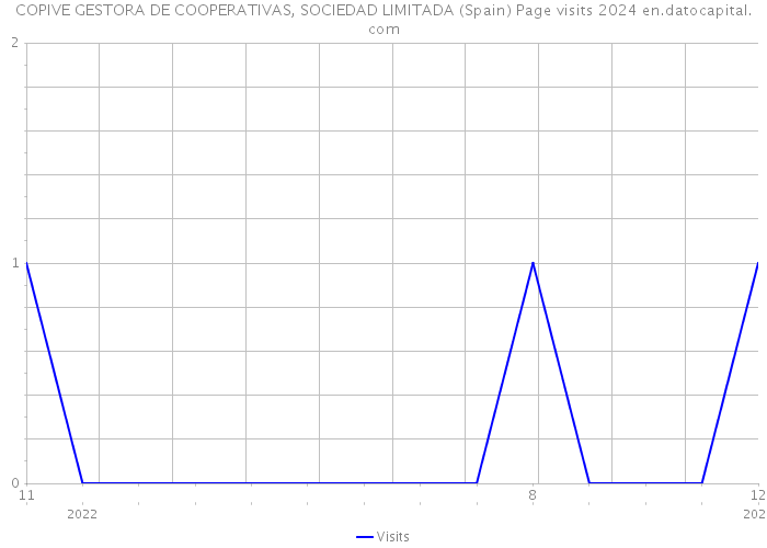 COPIVE GESTORA DE COOPERATIVAS, SOCIEDAD LIMITADA (Spain) Page visits 2024 