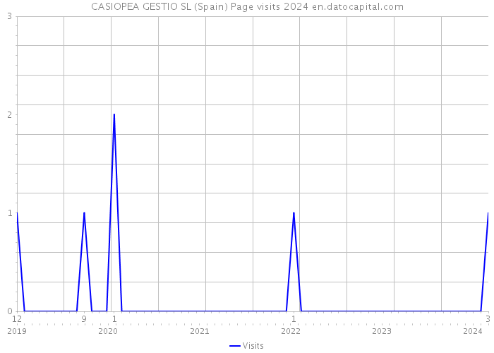 CASIOPEA GESTIO SL (Spain) Page visits 2024 