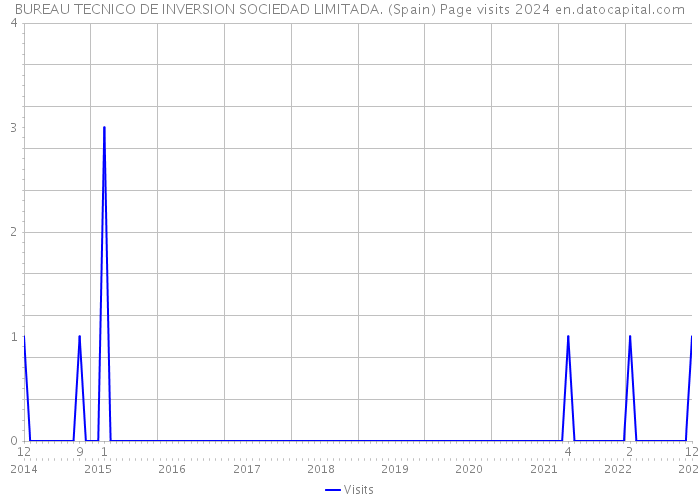 BUREAU TECNICO DE INVERSION SOCIEDAD LIMITADA. (Spain) Page visits 2024 