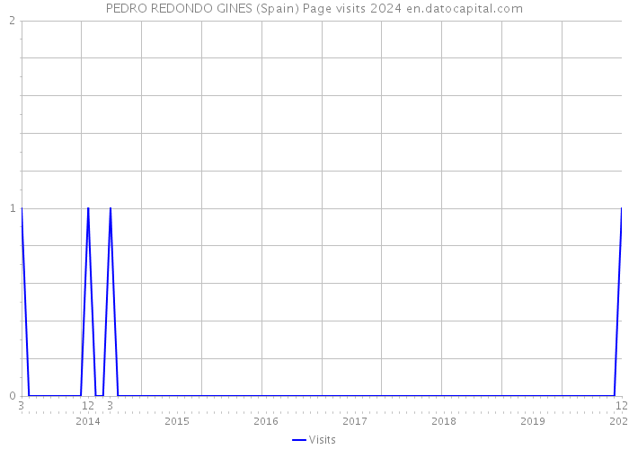 PEDRO REDONDO GINES (Spain) Page visits 2024 