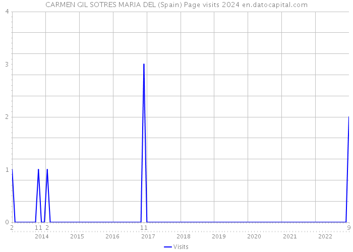 CARMEN GIL SOTRES MARIA DEL (Spain) Page visits 2024 