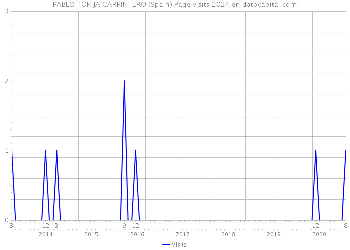 PABLO TORIJA CARPINTERO (Spain) Page visits 2024 
