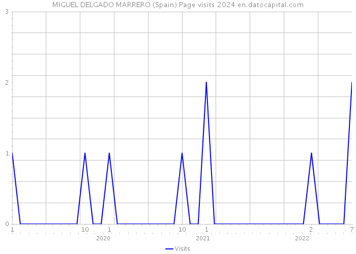 MIGUEL DELGADO MARRERO (Spain) Page visits 2024 