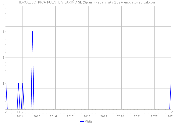 HIDROELECTRICA PUENTE VILARIÑO SL (Spain) Page visits 2024 