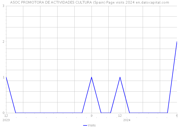 ASOC PROMOTORA DE ACTIVIDADES CULTURA (Spain) Page visits 2024 