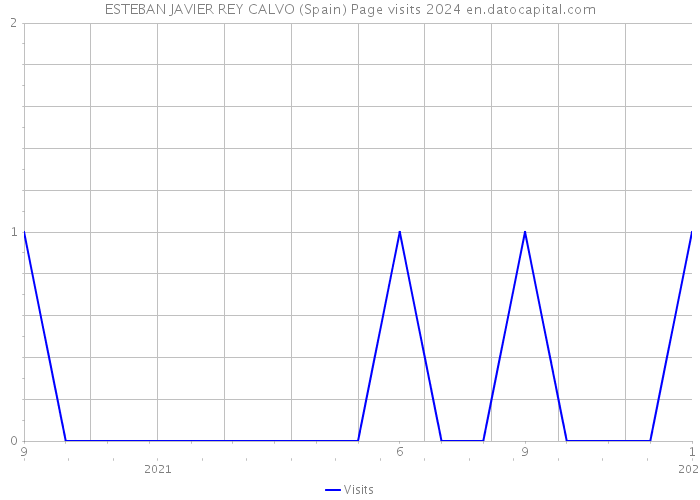 ESTEBAN JAVIER REY CALVO (Spain) Page visits 2024 