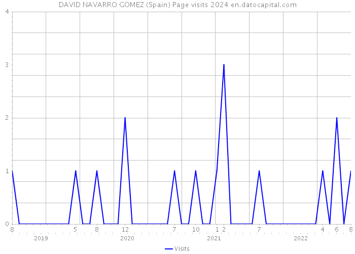 DAVID NAVARRO GOMEZ (Spain) Page visits 2024 