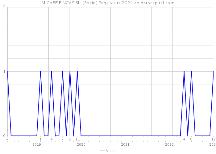 MICABE FINCAS SL. (Spain) Page visits 2024 