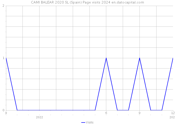 CAMI BALEAR 2020 SL (Spain) Page visits 2024 
