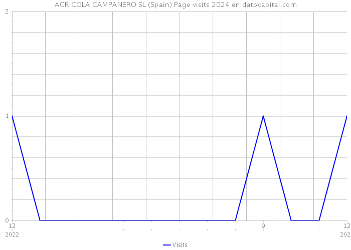 AGRICOLA CAMPANERO SL (Spain) Page visits 2024 