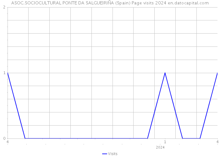 ASOC.SOCIOCULTURAL PONTE DA SALGUEIRIÑA (Spain) Page visits 2024 