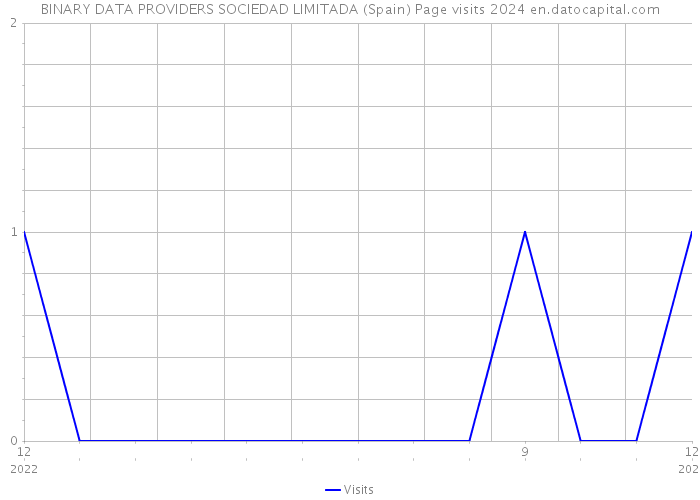 BINARY DATA PROVIDERS SOCIEDAD LIMITADA (Spain) Page visits 2024 