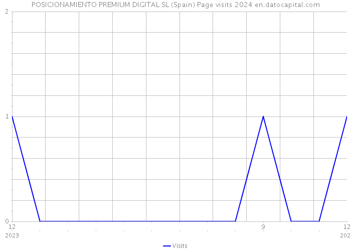 POSICIONAMIENTO PREMIUM DIGITAL SL (Spain) Page visits 2024 