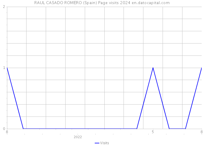 RAUL CASADO ROMERO (Spain) Page visits 2024 
