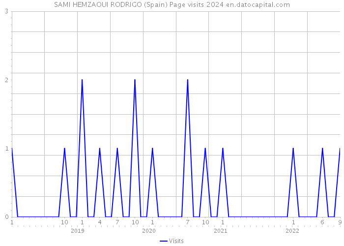 SAMI HEMZAOUI RODRIGO (Spain) Page visits 2024 