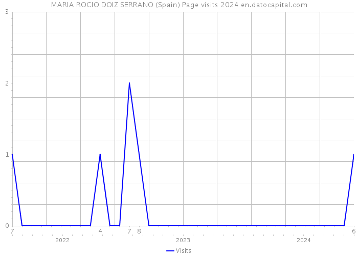 MARIA ROCIO DOIZ SERRANO (Spain) Page visits 2024 