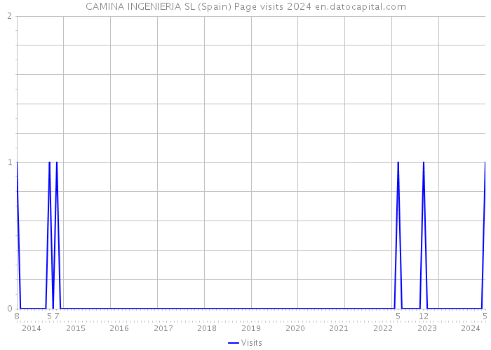 CAMINA INGENIERIA SL (Spain) Page visits 2024 