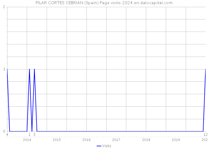 PILAR CORTES CEBRIAN (Spain) Page visits 2024 