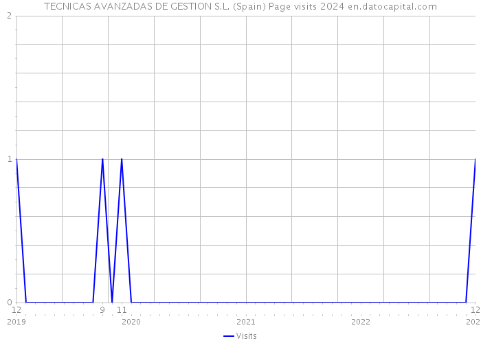 TECNICAS AVANZADAS DE GESTION S.L. (Spain) Page visits 2024 