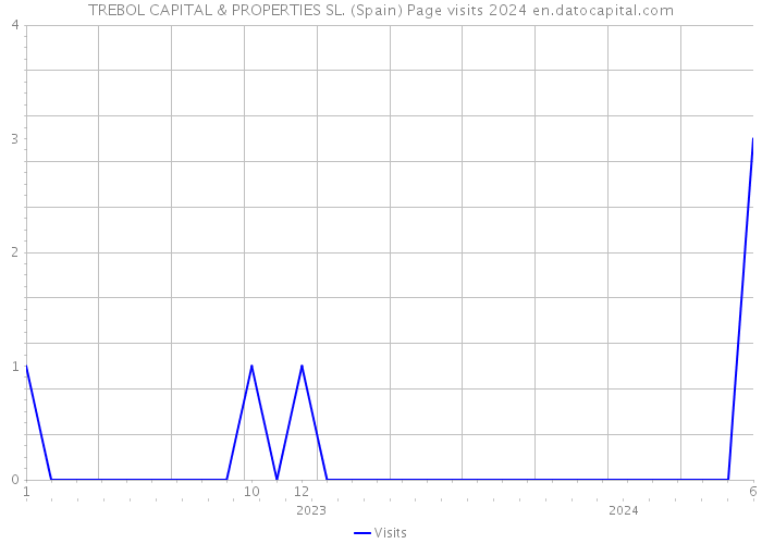 TREBOL CAPITAL & PROPERTIES SL. (Spain) Page visits 2024 