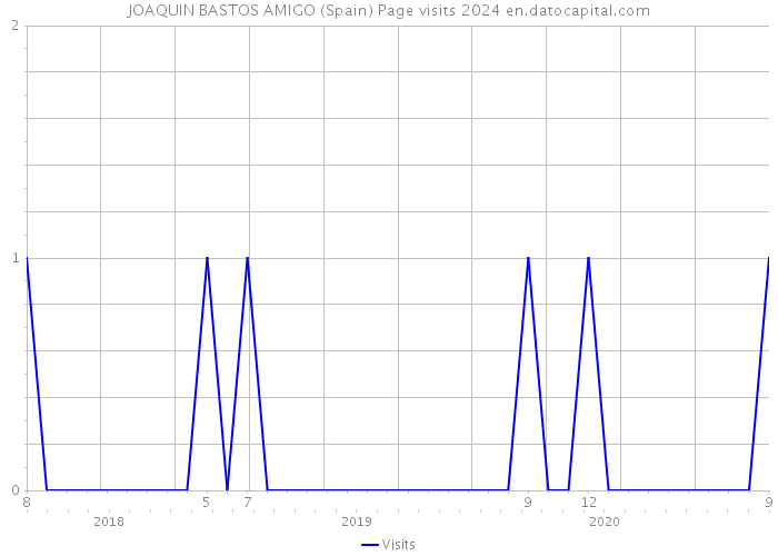 JOAQUIN BASTOS AMIGO (Spain) Page visits 2024 