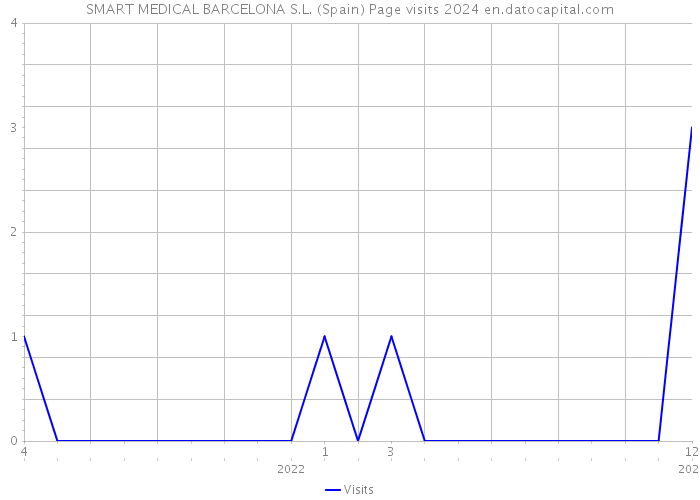 SMART MEDICAL BARCELONA S.L. (Spain) Page visits 2024 