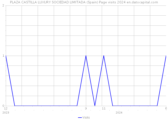 PLAZA CASTILLA LUXURY SOCIEDAD LIMITADA (Spain) Page visits 2024 