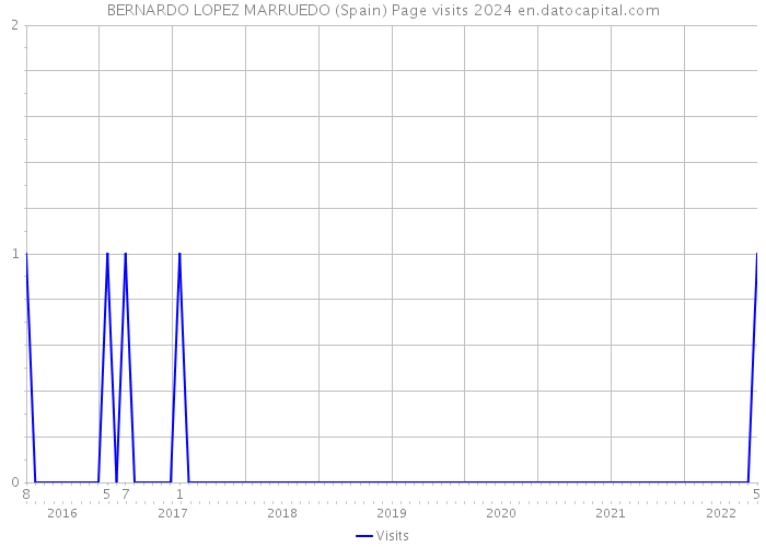BERNARDO LOPEZ MARRUEDO (Spain) Page visits 2024 