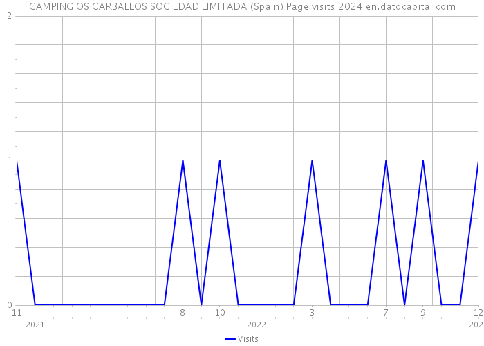 CAMPING OS CARBALLOS SOCIEDAD LIMITADA (Spain) Page visits 2024 